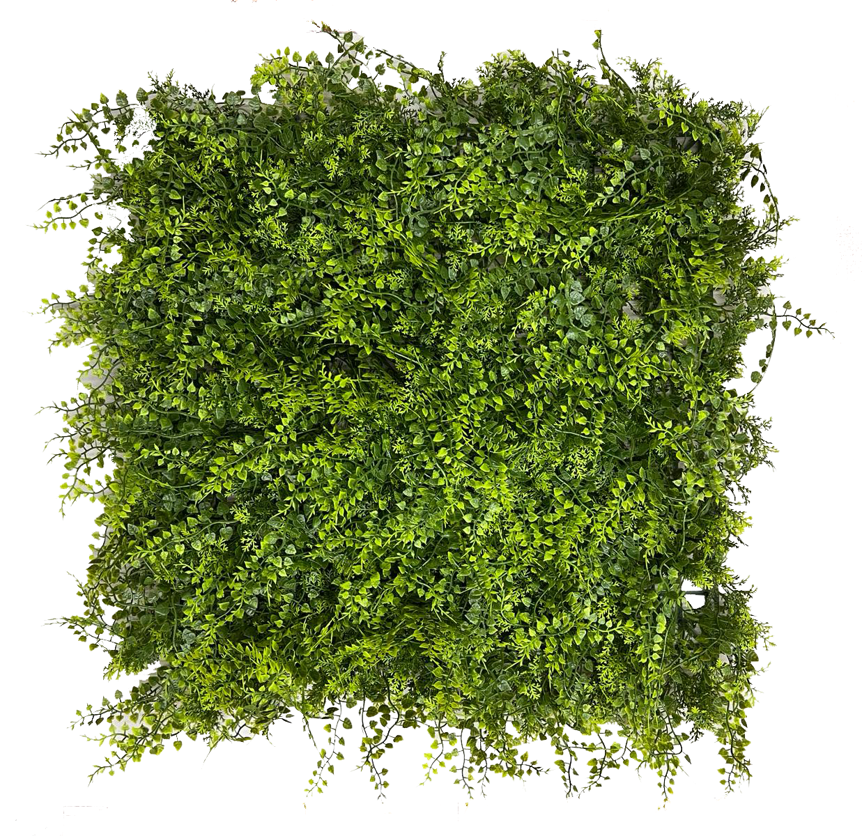 Panou Decorativ Botaniq Green UV Culoare Verde