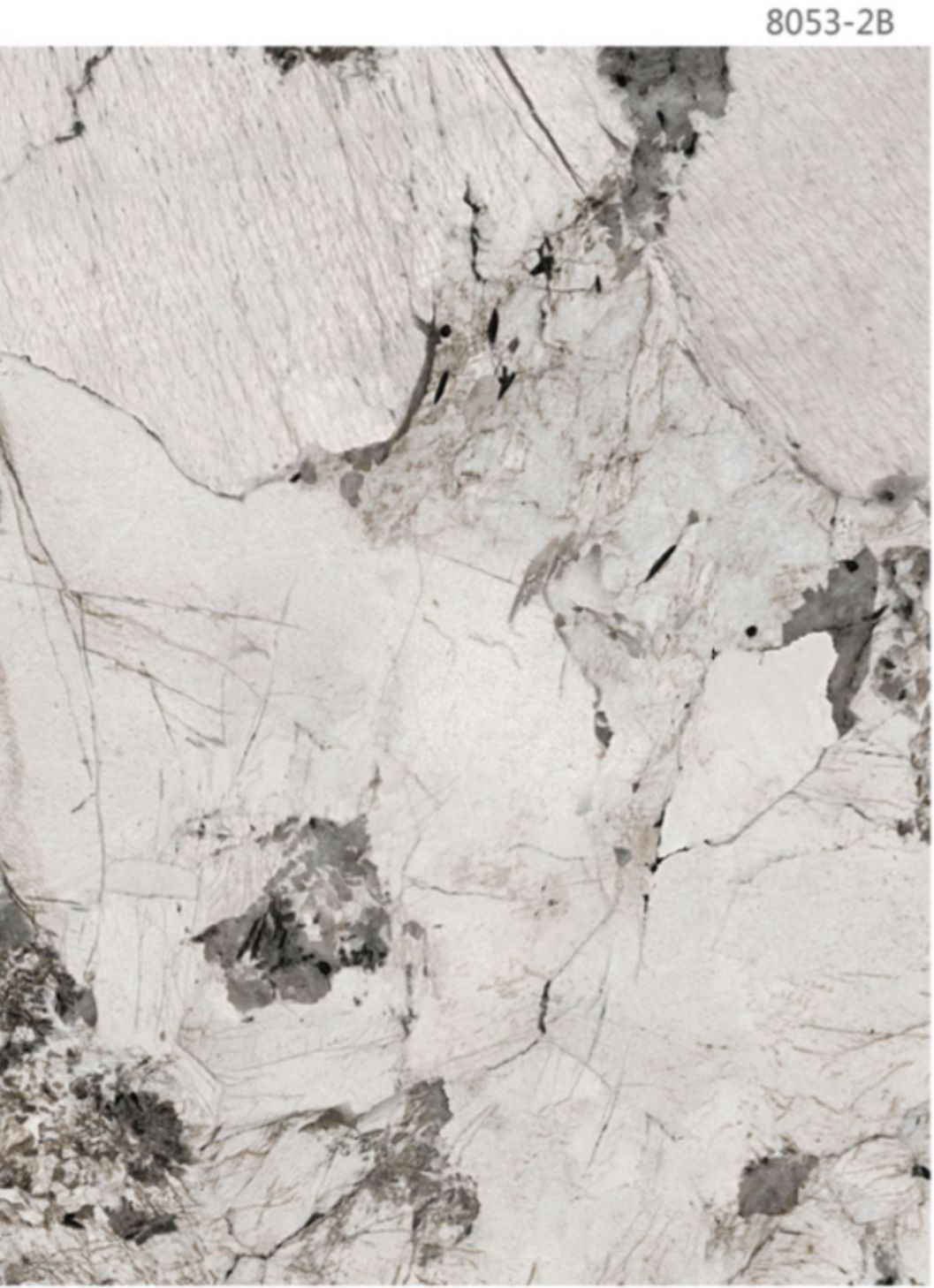 Placă Decorativă MarbleFlex C01