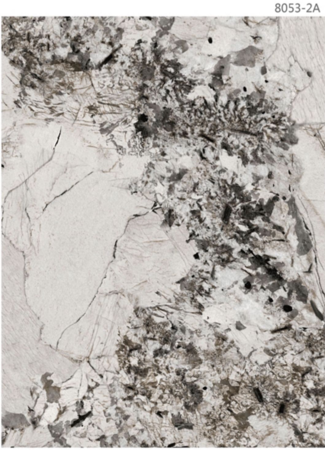 Placă Decorativă MarbleFlex C01